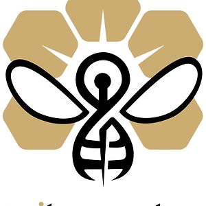 Wellness Pobyt Na Vceli Lazne - Apispa - Apiterapeut-Cz - 5 Procedur